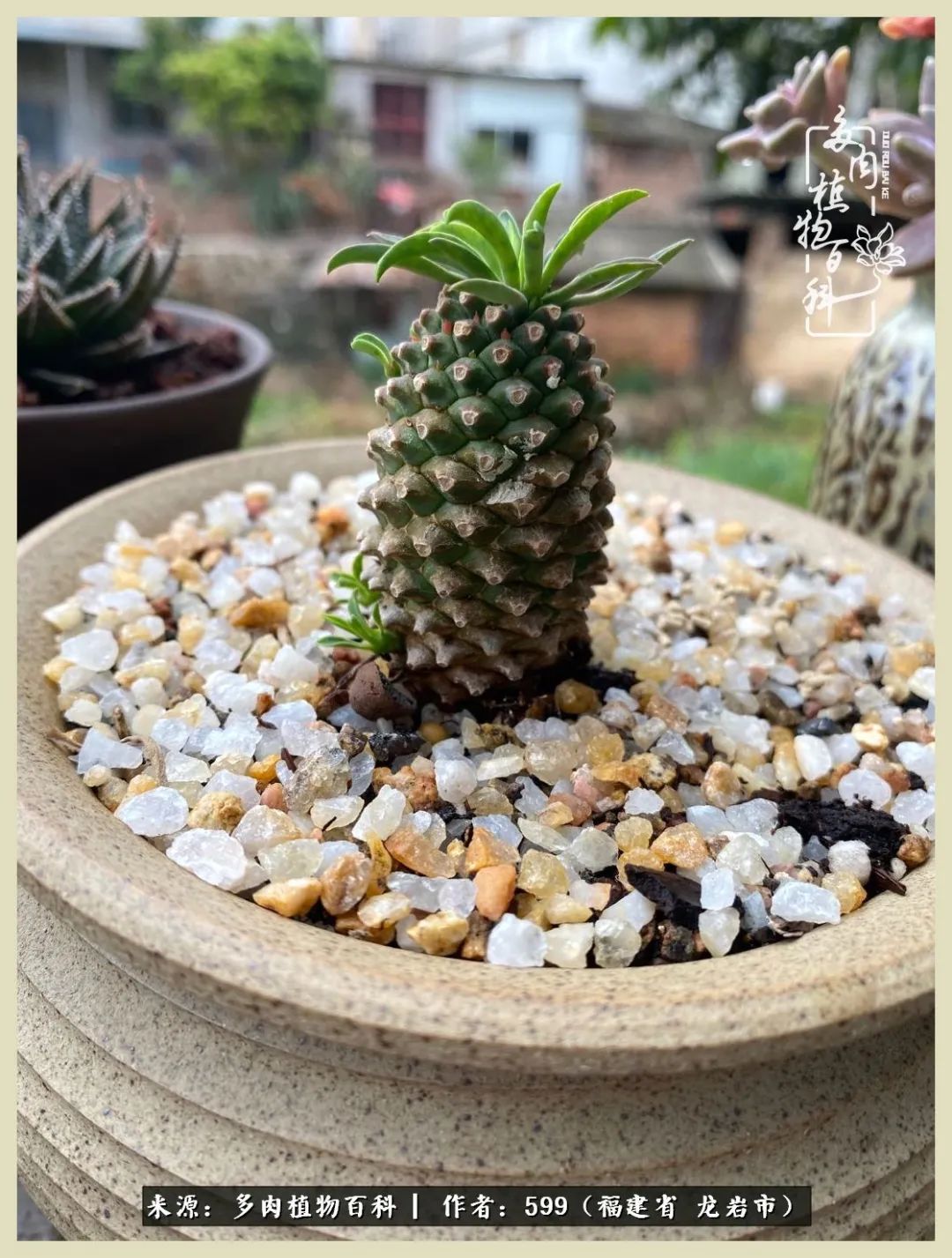 所有的热爱都不遗余力,所有的忙碌都是因为热爱