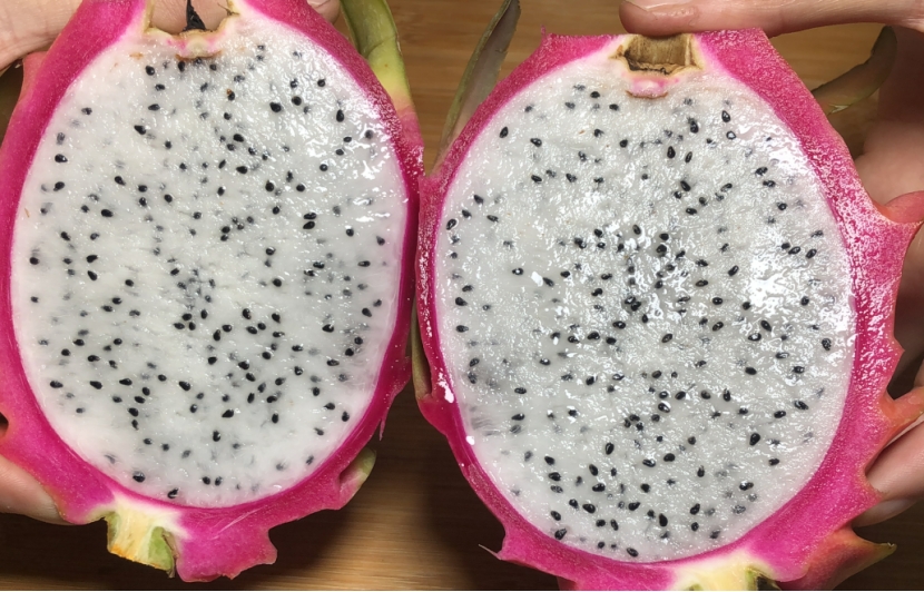 火龙果甜不甜这样挑选,挑选火龙果的时候如何判断甜不甜