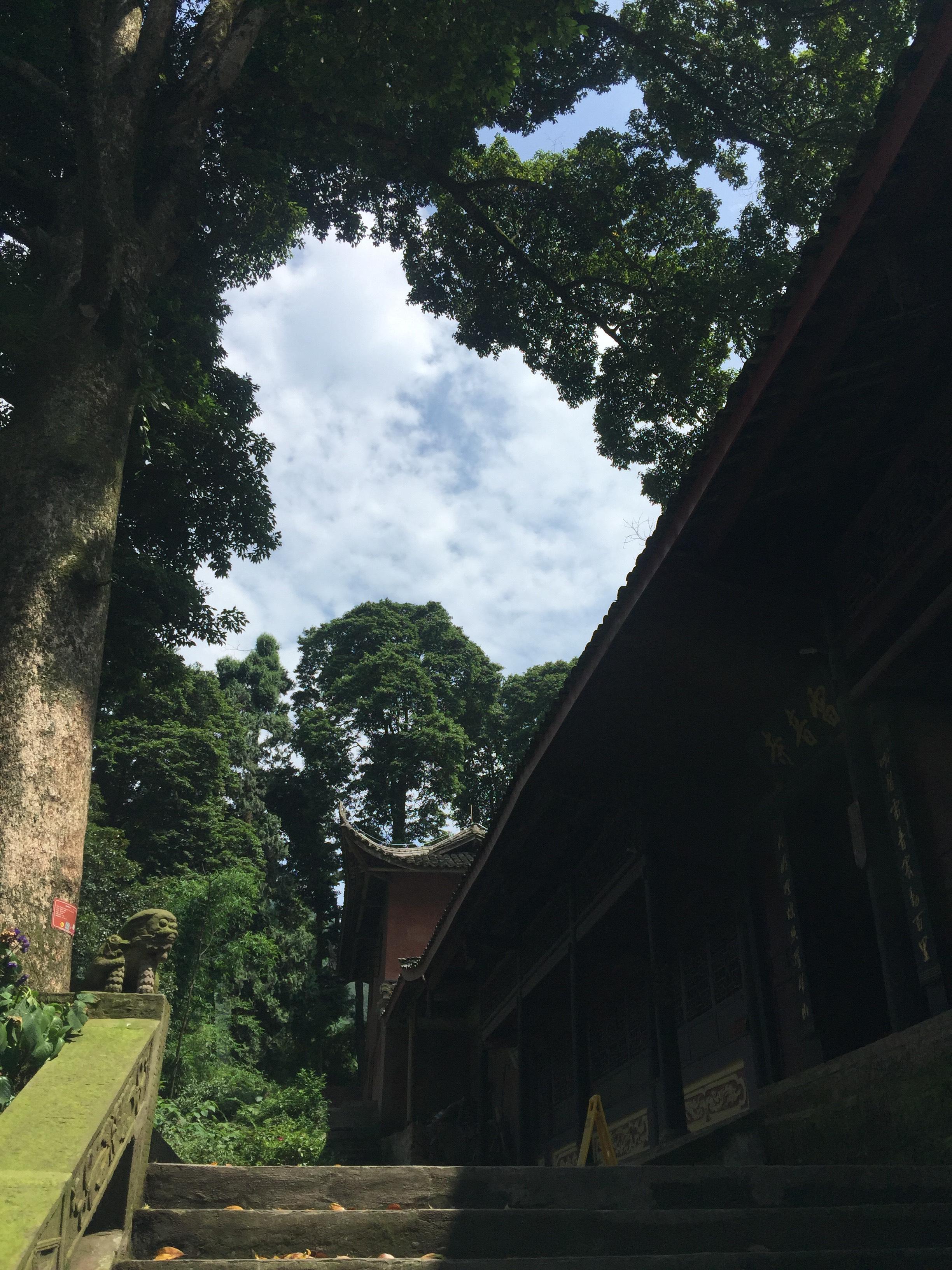 峨眉山登顶佛像,峨眉山登顶记完整版