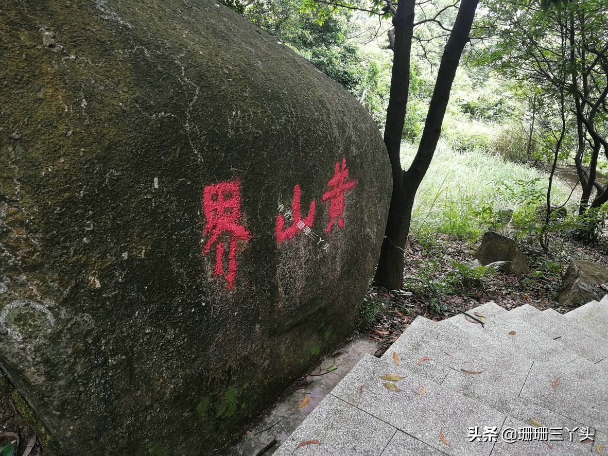广州有座像老虎的山,广州有一座山是圆形的