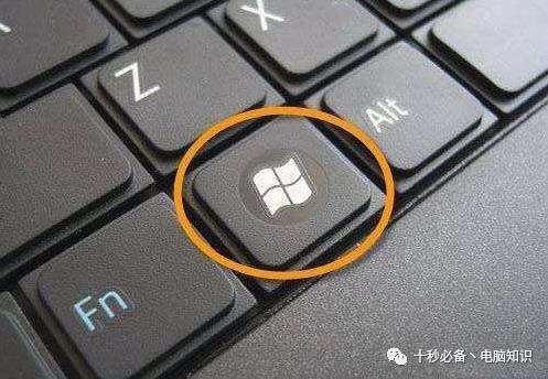 「原创文」窗口快速分屏，文件对比复制高效不止一点｜每天学一点