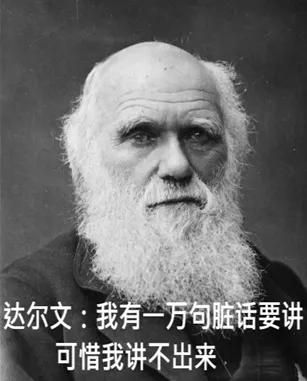 保险公司团队名字有创意好听,保险公司取名