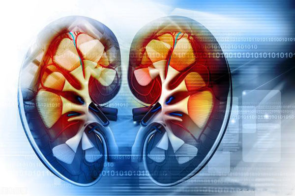 肾病综合征愈后吃什么好,男人肾病综合症能治好吗