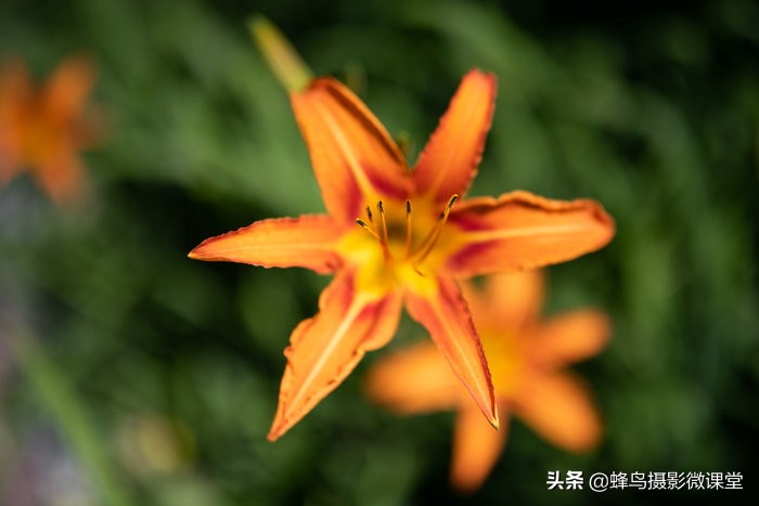 腾龙sp35mmf1.4拍的照片,腾龙sp35mmf1.4diusd是全画幅镜头吗