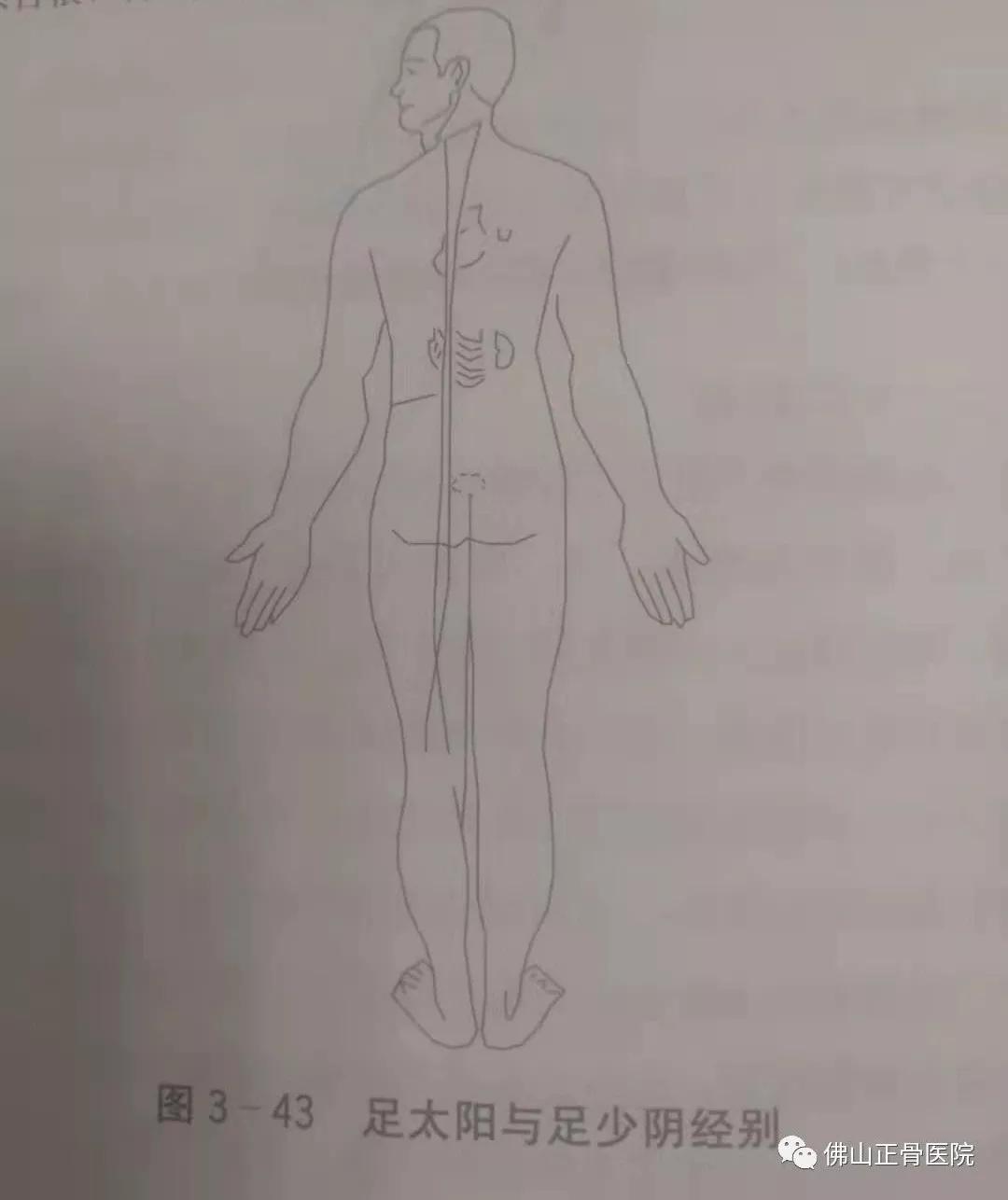 经筋手法，我院名誉院长国医大师韦贵康《韦氏骨伤手法集成》