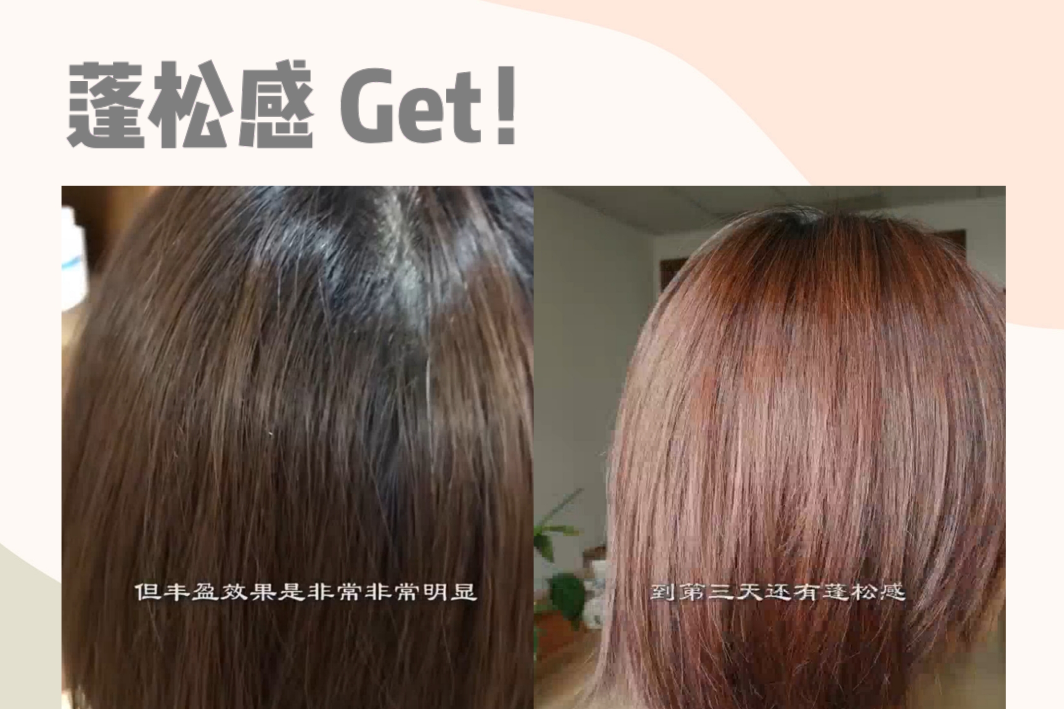 科颜氏大米小麦洗发水500ml,洗发水测评欧莱雅茶树