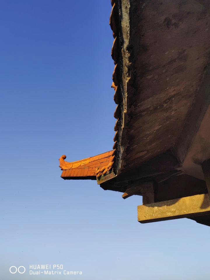 华为p50pro鸿蒙版评测,华为p50pocket鸿蒙