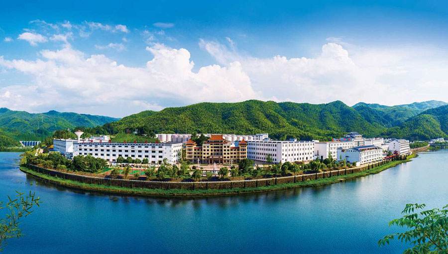 六安排名前十的企业是哪些,六安有哪些知名的企业