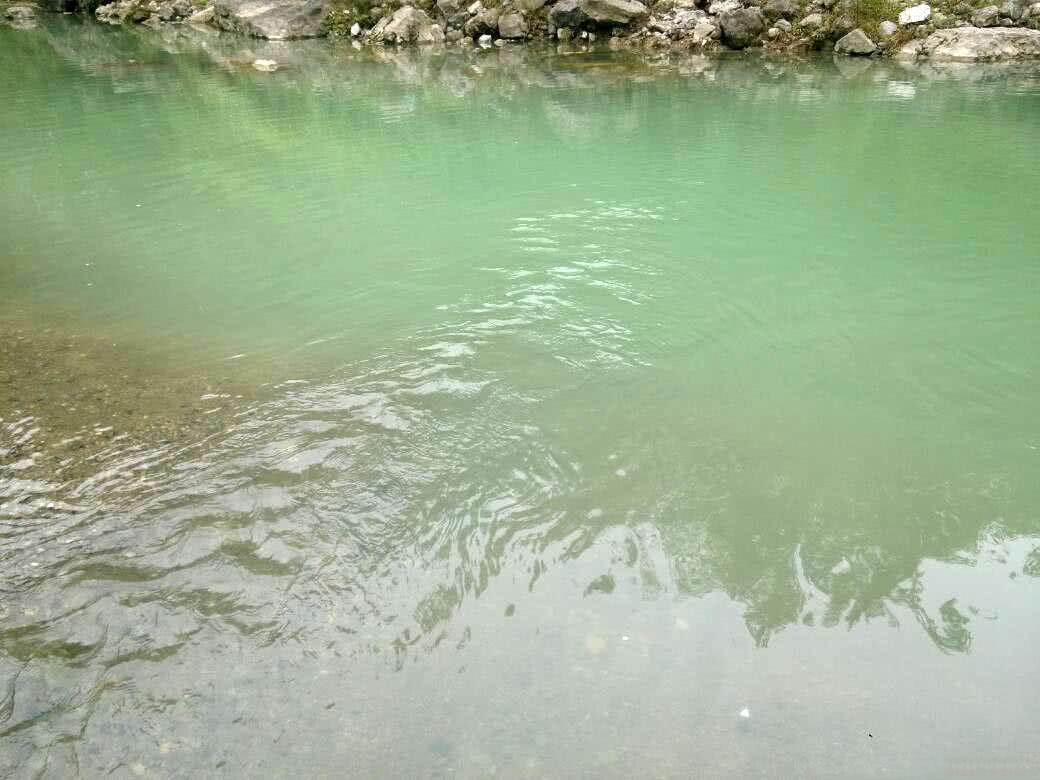 盘车冲钓赤尾,盘车冲钓青尾鲴