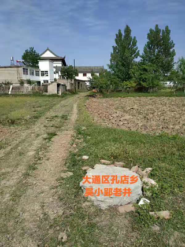 淮南乡土｜寻访古井（吴井篇）