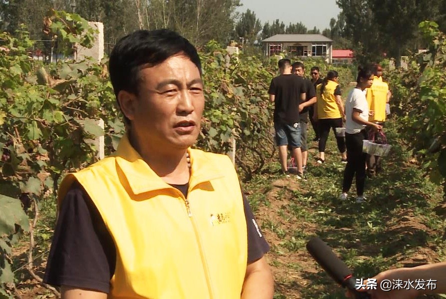 鐖卞績鍔╁啘鑻规灉鏂伴矞閲囨憳,鐖卞績浼佷笟鍔╅攢钁¤悇