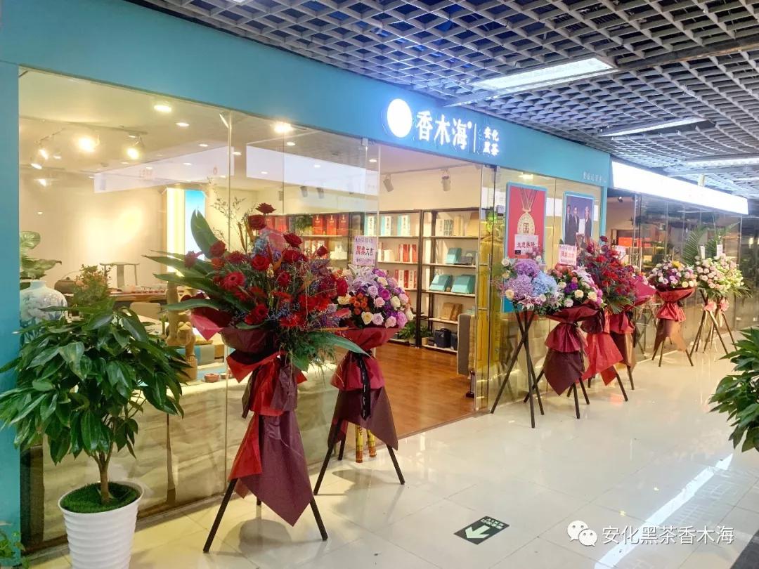 棣欐湪娴疯尪涓氭棗鑸板簵,棣欐湪娴疯尪鍙舵棗鑸板簵