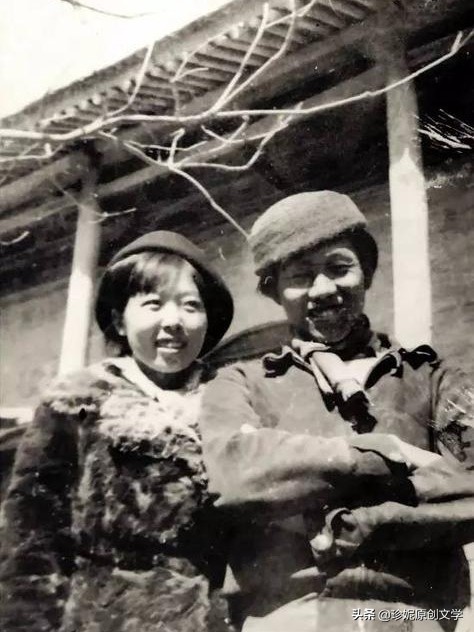 一颗红豆背后的疑问号