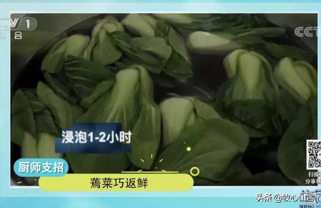 手作丨蔬菜蔫了怎么办？教你一招让蔬菜和新买的一样