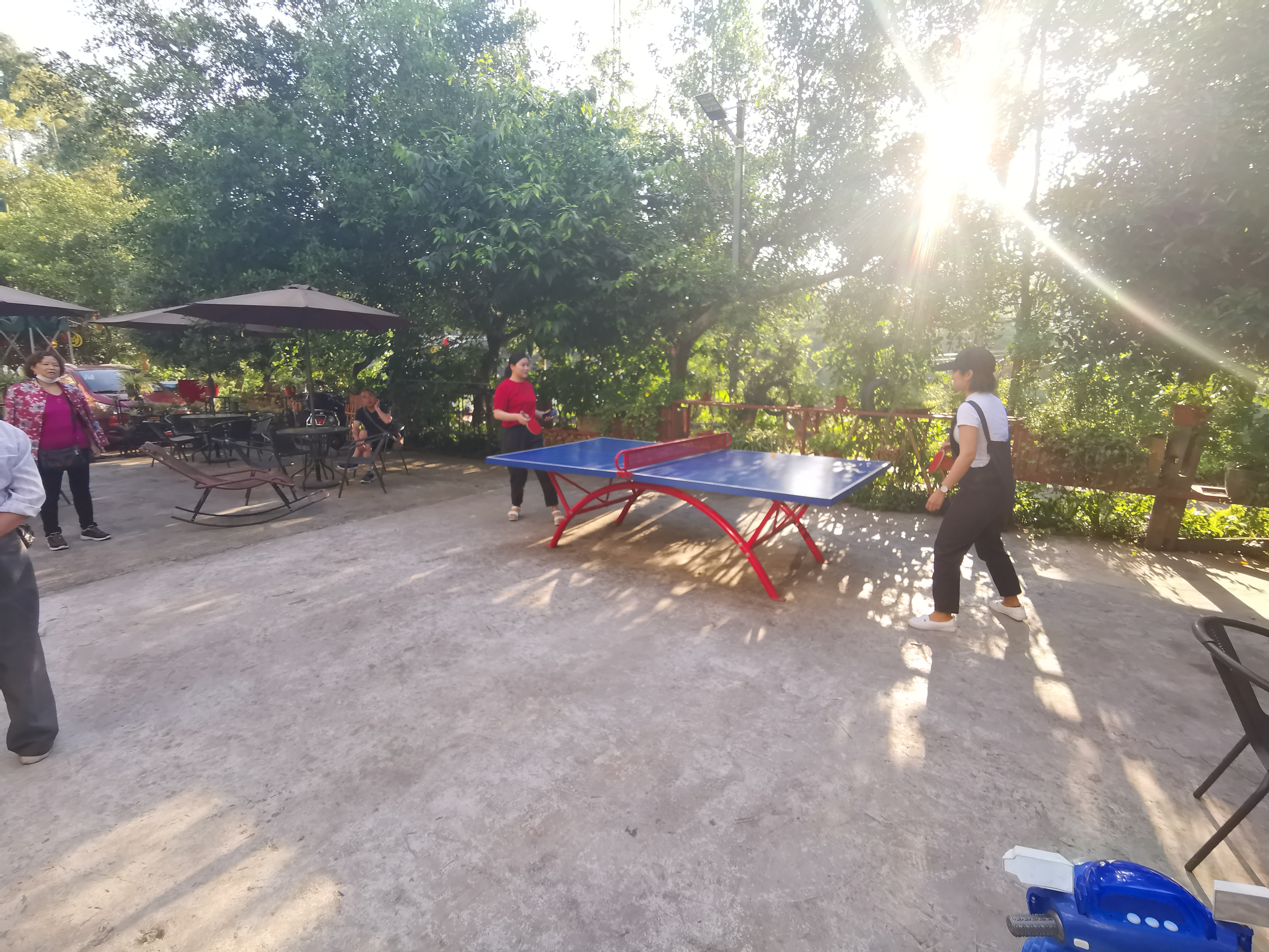 重庆有特色的山中民宿,重庆十大山景民宿排名