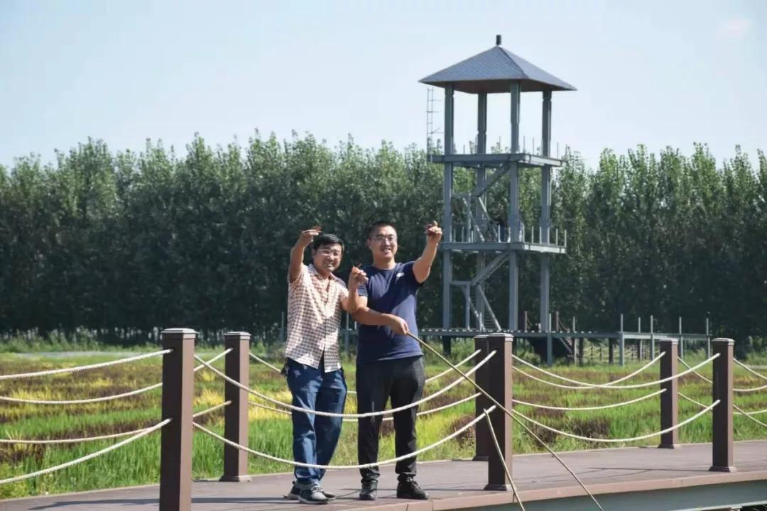 曹妃甸稻花节怎么样,曹妃甸稻花节现状