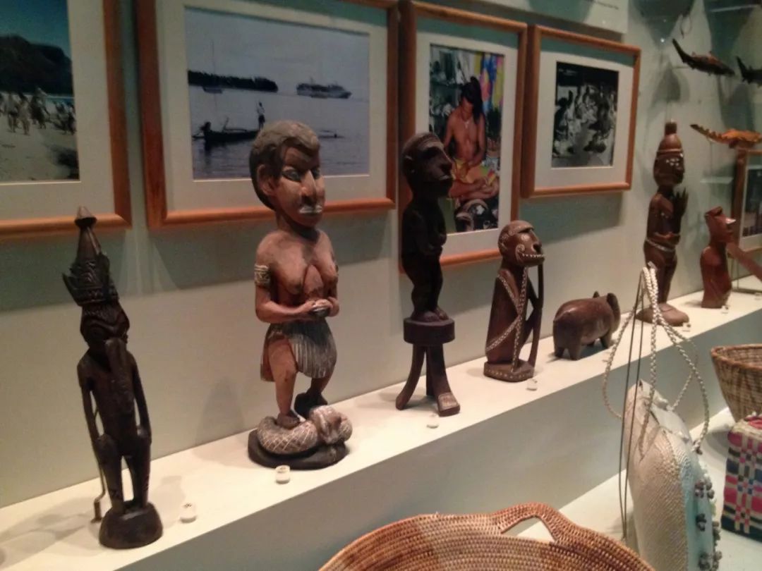 漫话新西兰,漫话新西兰漫画