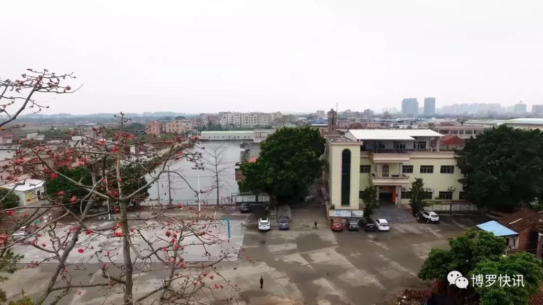 就在博罗园洲！这个比过年还热闹的节日，已有400年历史……