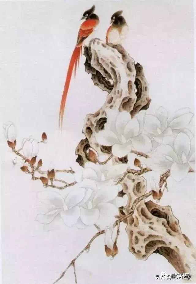 工笔玉兰的画法和染色,工笔玉兰花教学