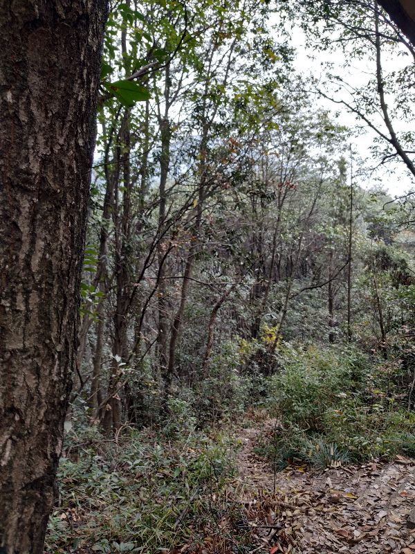 杭州市周末自驾游去哪里好玩,杭州出发周末旅游攻略