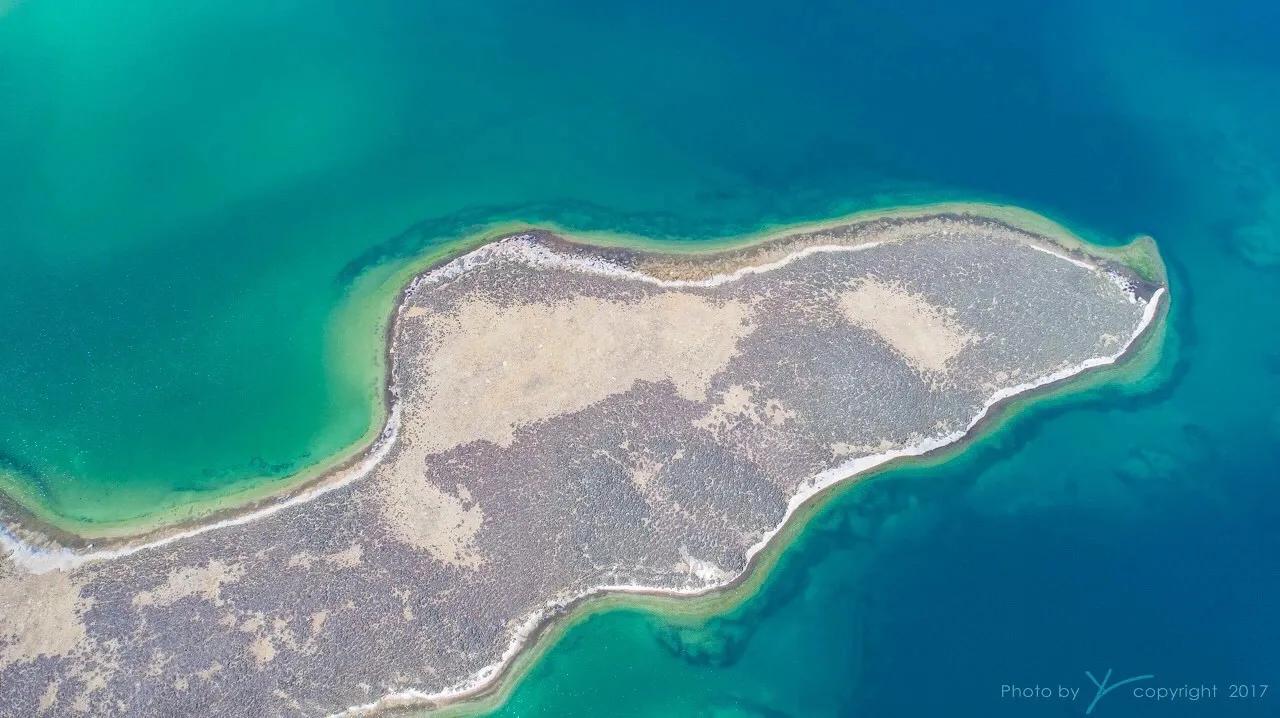 中国唯一不收费的高速公路,中国旅游风景最好的四条高速