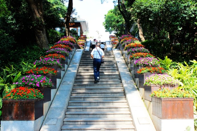 广东人对鸡情有独钟什么意思,为啥广东人喜欢吃鸡鸭鹅