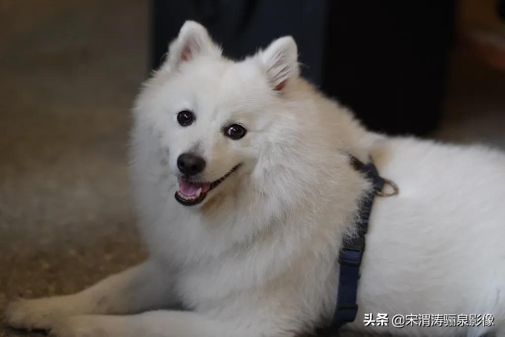 pentax十大经典相机,pentax好吗