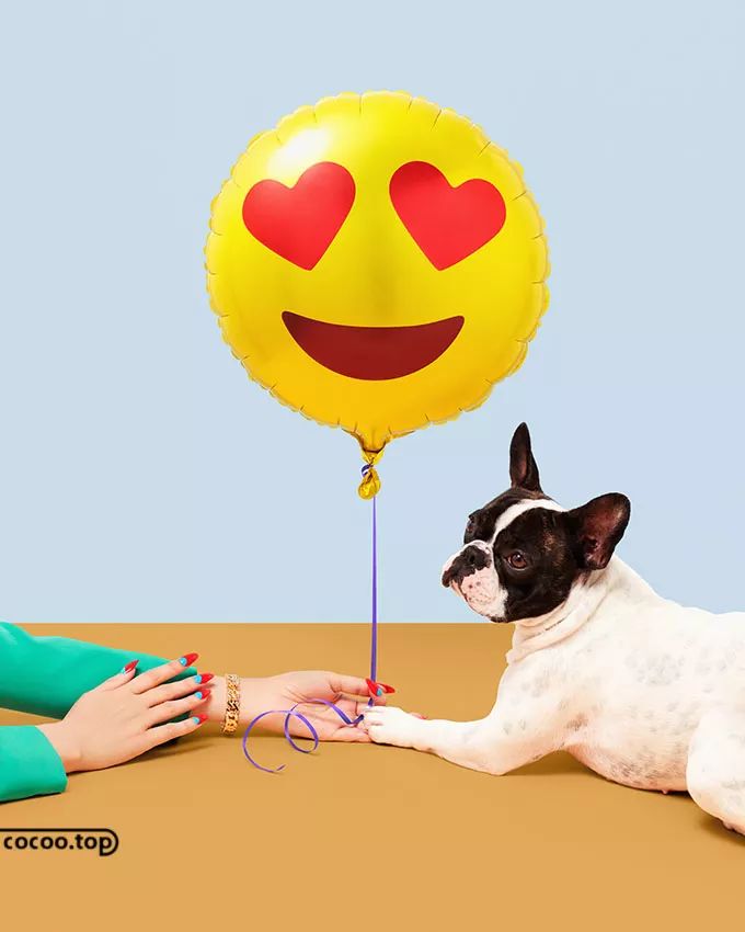 印刷工艺三大要素,印刷工艺细节