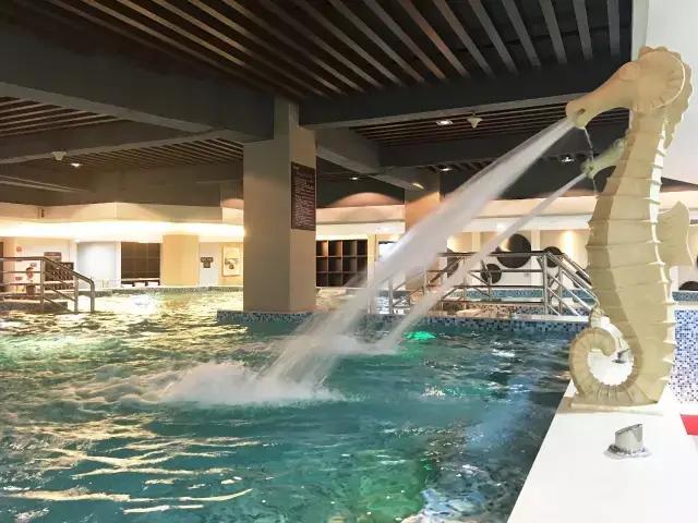 中国养生硒谷温泉度假小镇,欢喜岭湿地温泉养生度假小镇