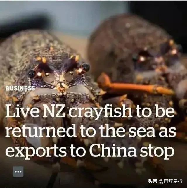 中国人宅在家里的日子，全世界：快快快撑不住了