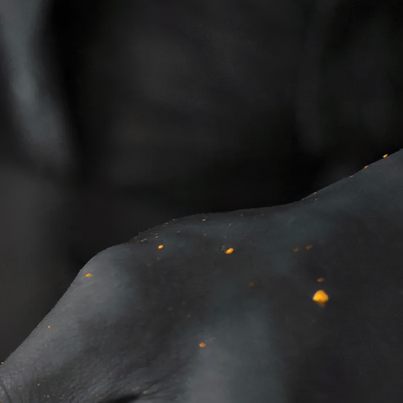 SAUVEREIGN：你听过金箔鞋跟的传奇吗？