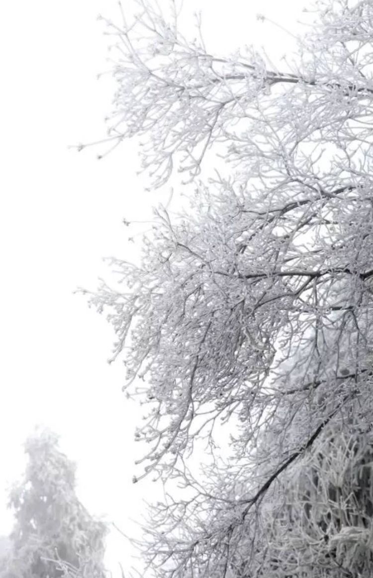 养在深闺人未识,桂林华南之巅猫儿山