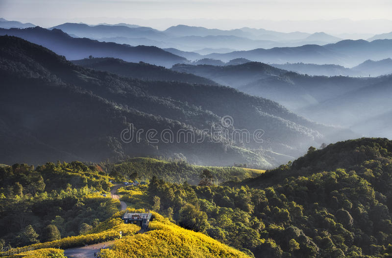 世界每年人口增长数量最多的国家,南美洲人口最多的国家是哪个国家