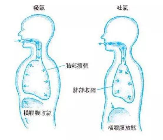气息的讲解,气息支撑知识点