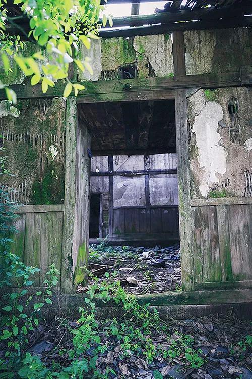 重庆市垫江县鹤游坪,垫江鹤游坪古镇