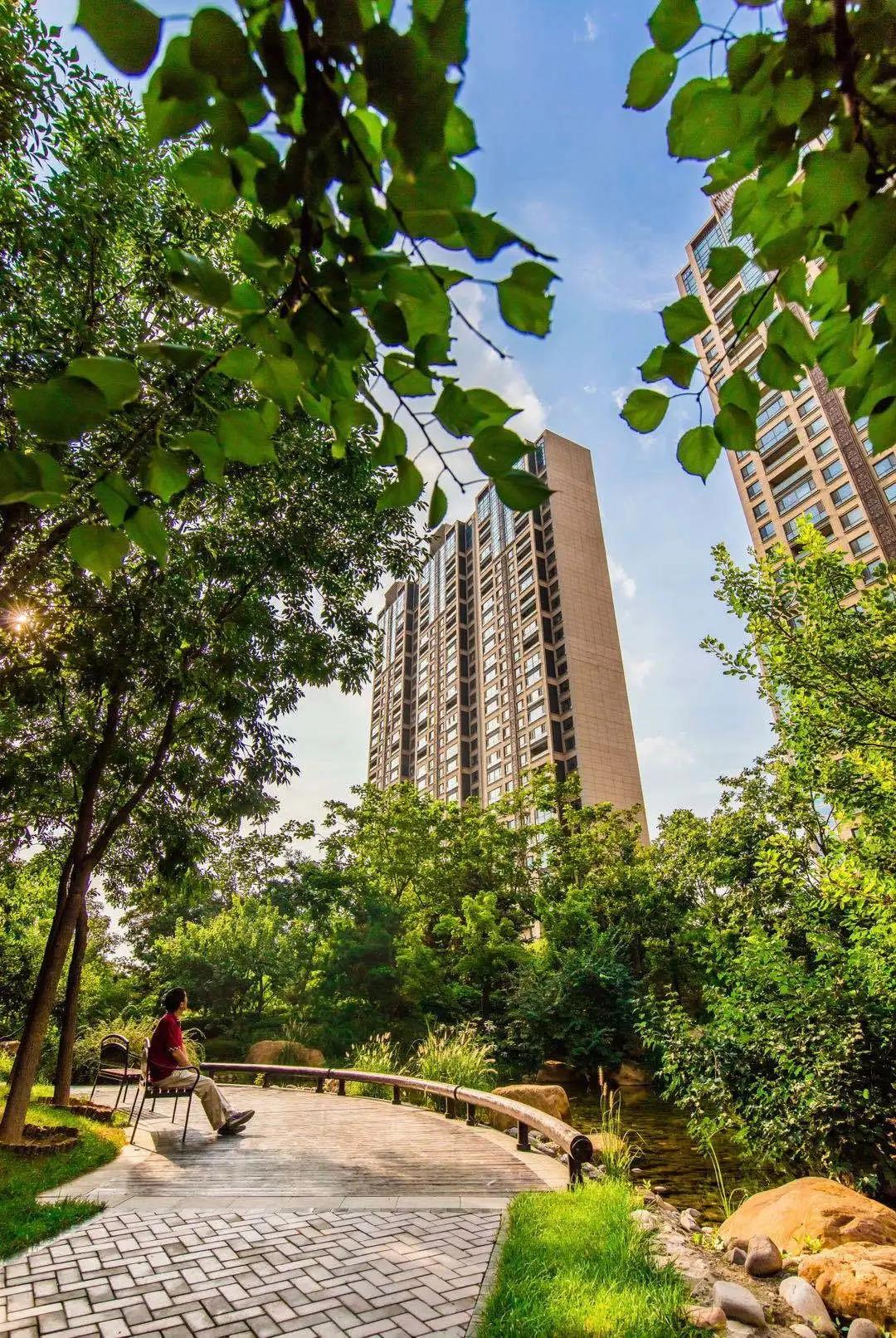 樱桃看房|老朋友,好久不见之「唐城·壹零壹」