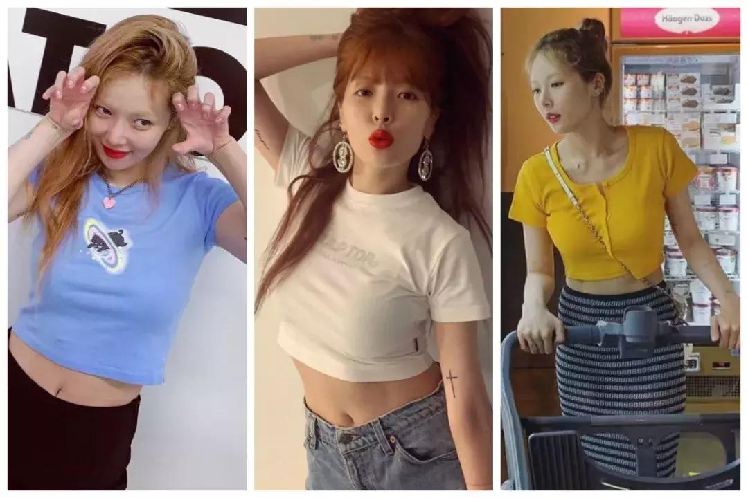 新款伊芙丽t恤,伊芙丽商场同款t恤