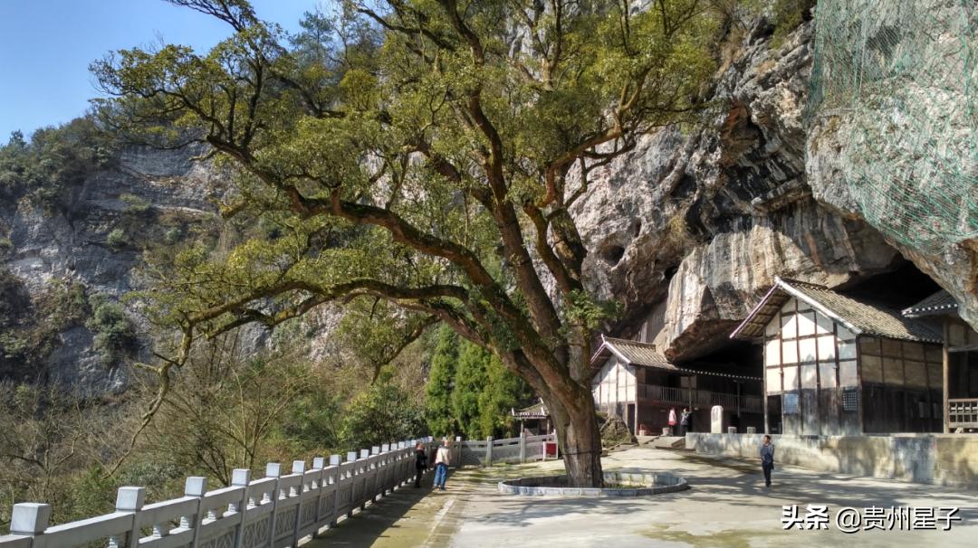 揭开神秘的面纱,揭开神秘的面纱寻找真相