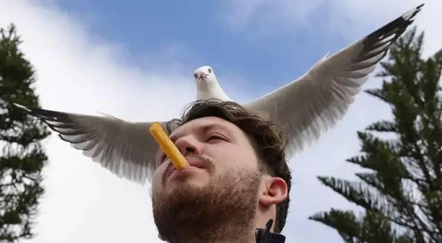 嘘！我要去澳洲了，不如一起吧