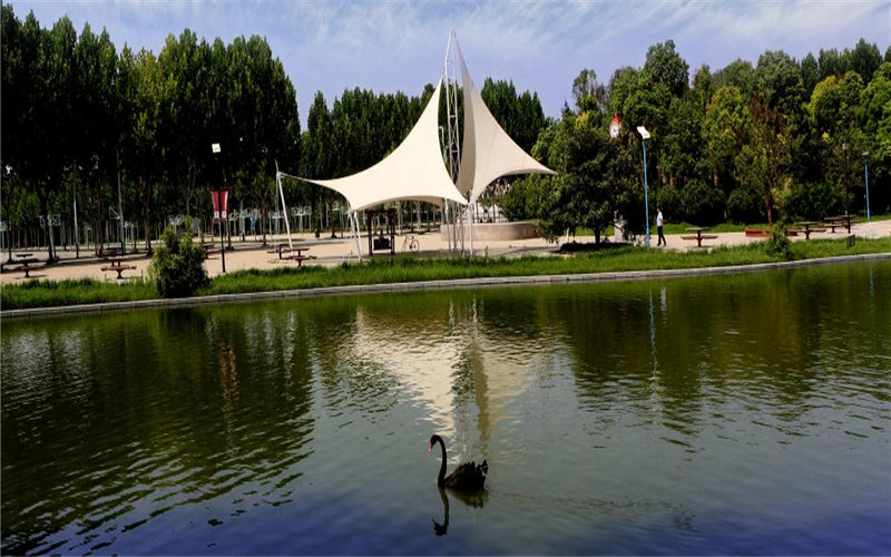 河南民办高校（本科）大起底：野花儿香，能采不？