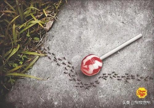 全棉时代广告惹了所有女生,全棉时代广告事件借鉴的哪个创意