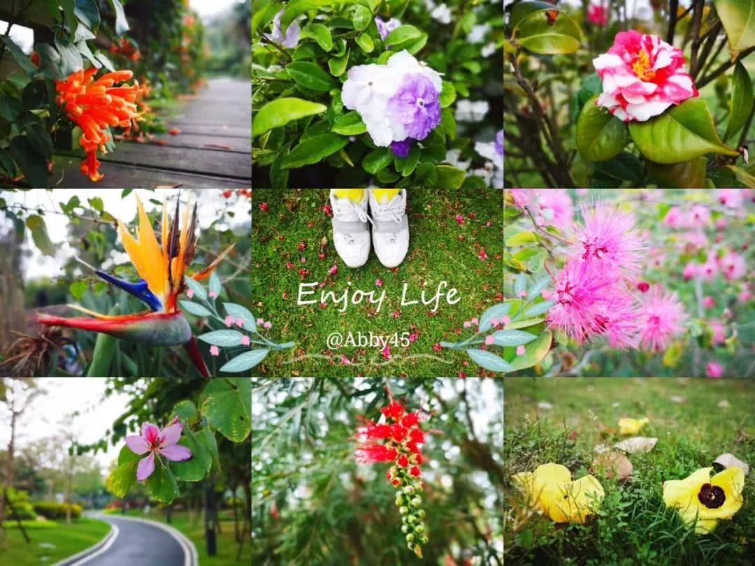 厦门海景最棒的酒店,厦门岛内100多的酒店