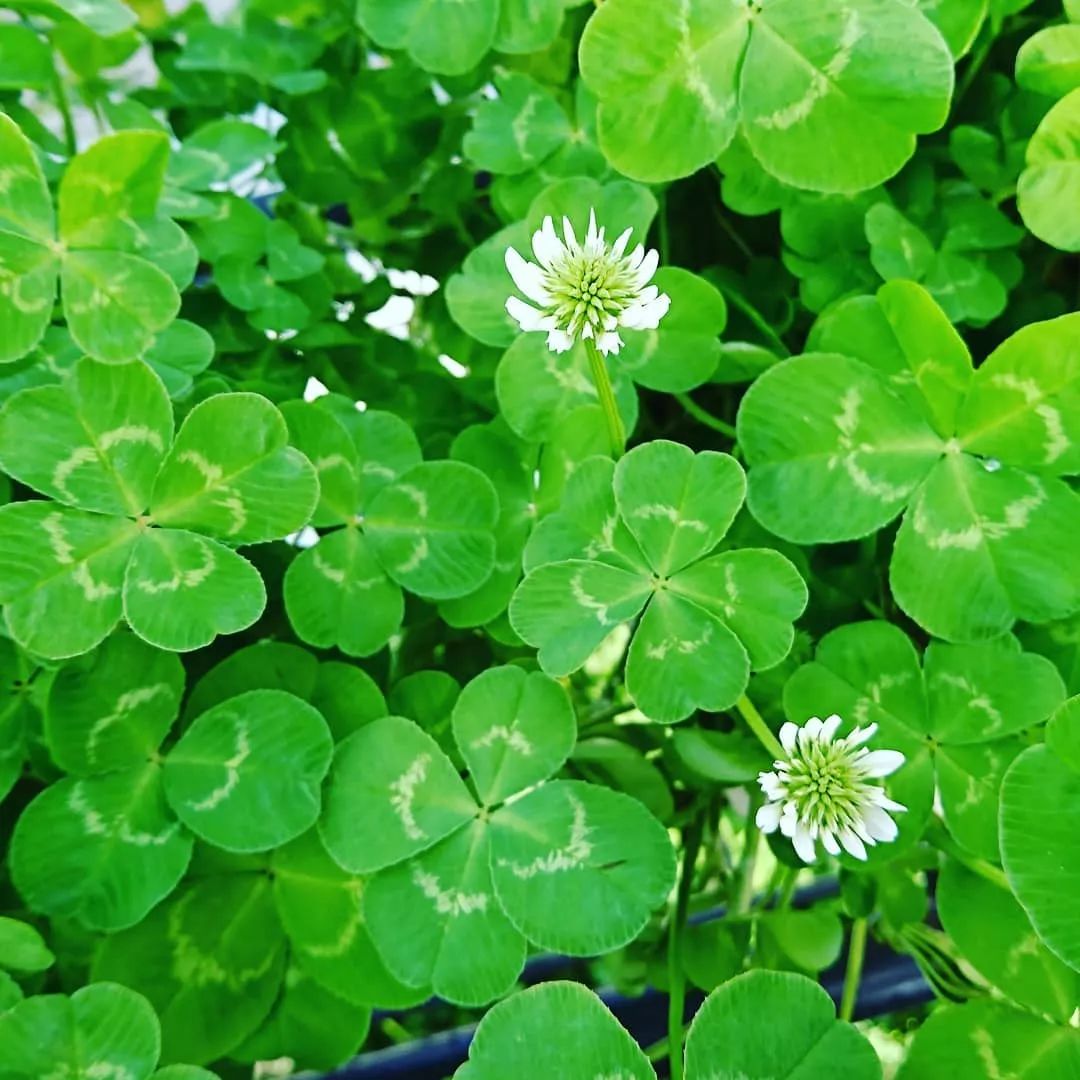 名古屋的机票,名古屋机票价格