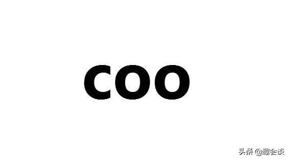 cfoceocmo分别是什么职位,ceocfo的含义