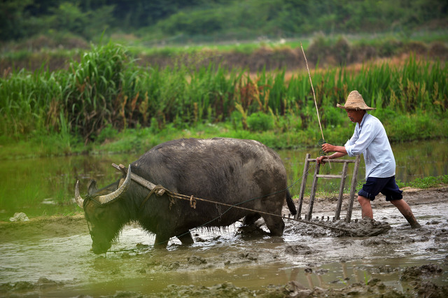 7万亿扶持乡村振兴,7万亿投资农村的具体项目是什么