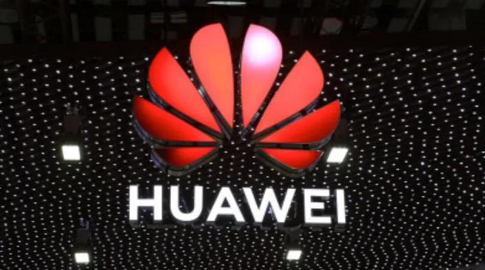 孟晚舟回来第一件要做的事,关于孟晚舟回家视频