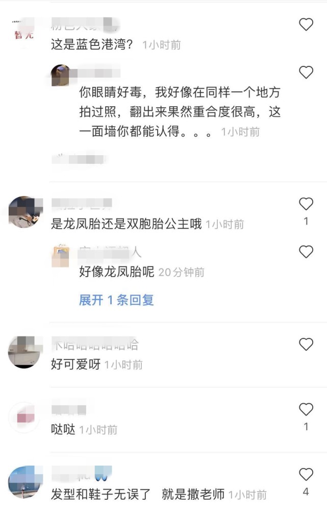 撒贝宁一家四口双胞胎,撒贝宁龙凤胎首曝光