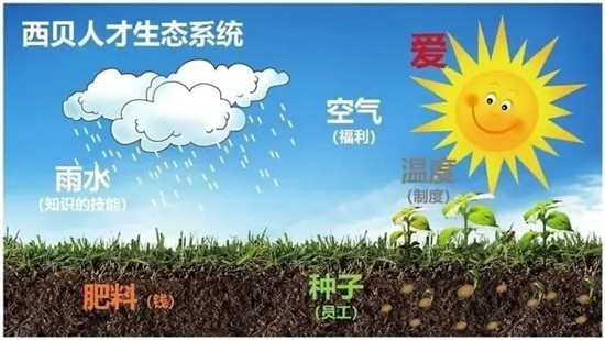 西贝加班,在西贝工作累吗