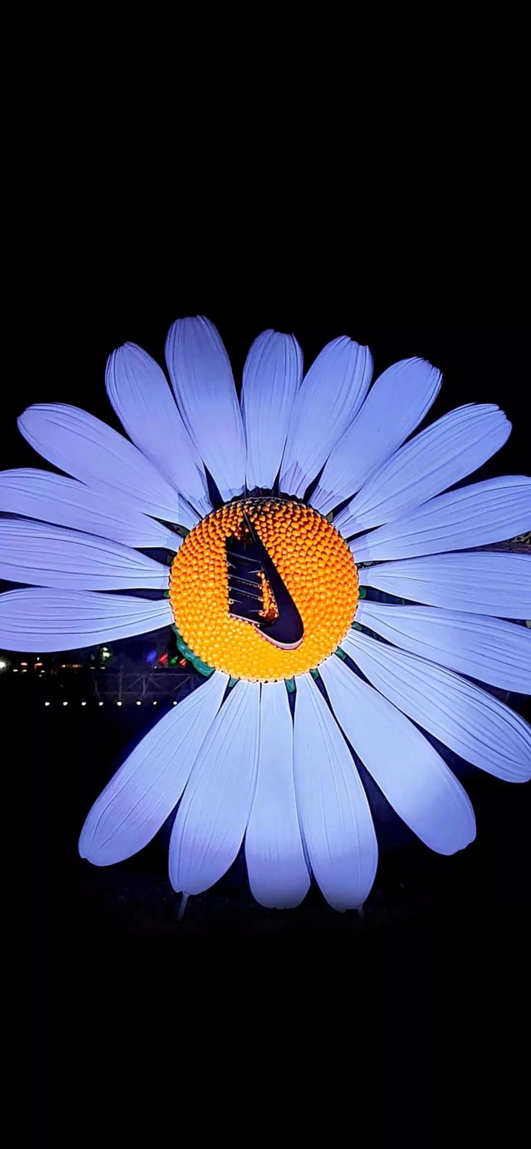 壁纸品牌十大排名图片,包子铺品牌