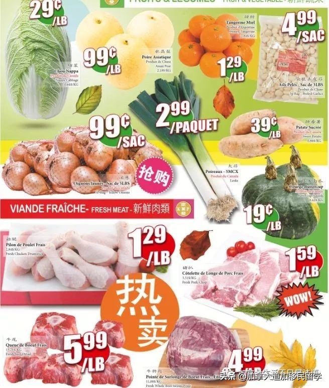 蒙特利尔的成本,蒙特利尔一年生活费用